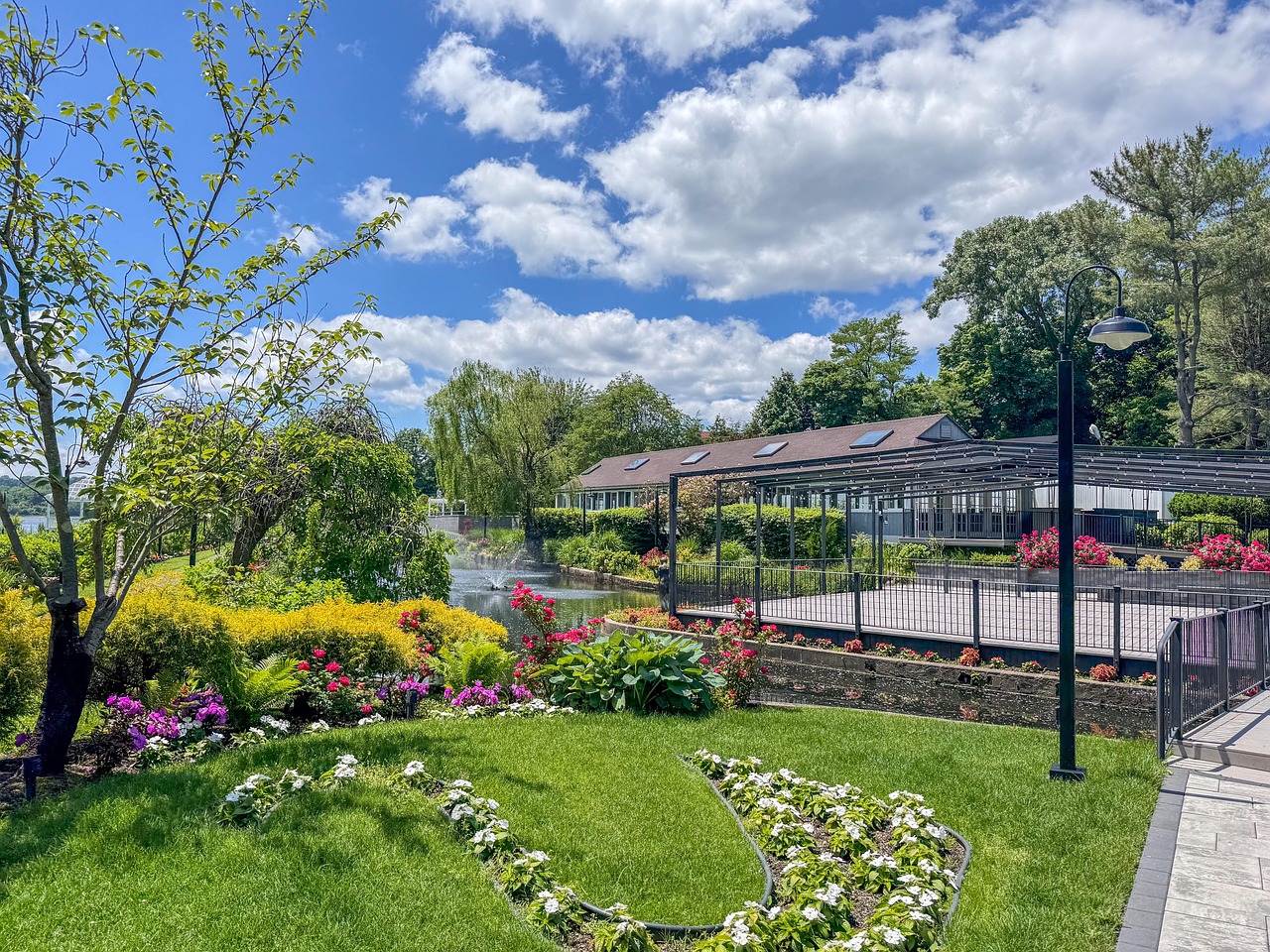 Tips För Att Odla Din Egen Sallad För En Riklig Skörd
